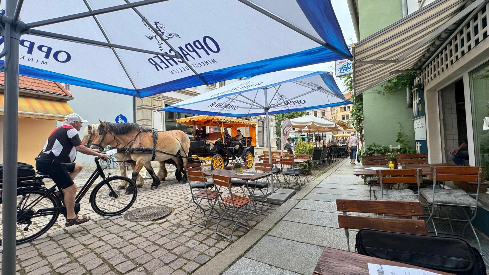 Apartment Arthur 22 Meissen